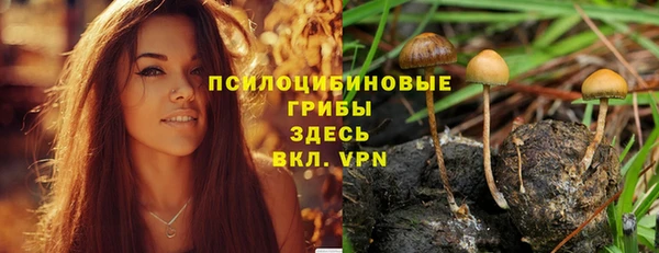 spice Аркадак