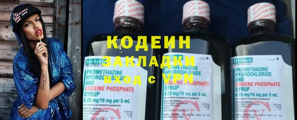 прущие грибы Балахна