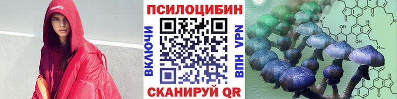 Галлюциногенные грибы Magic Shrooms ссылка на мегу маркетплейс площадка телеграм где купить наркоту Новотроицк